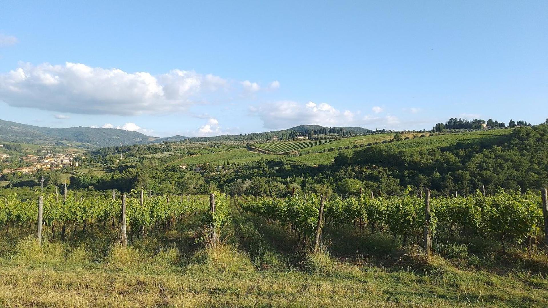 La Turra - Casa Di Campagna Greve in Chianti Dış mekan fotoğraf
