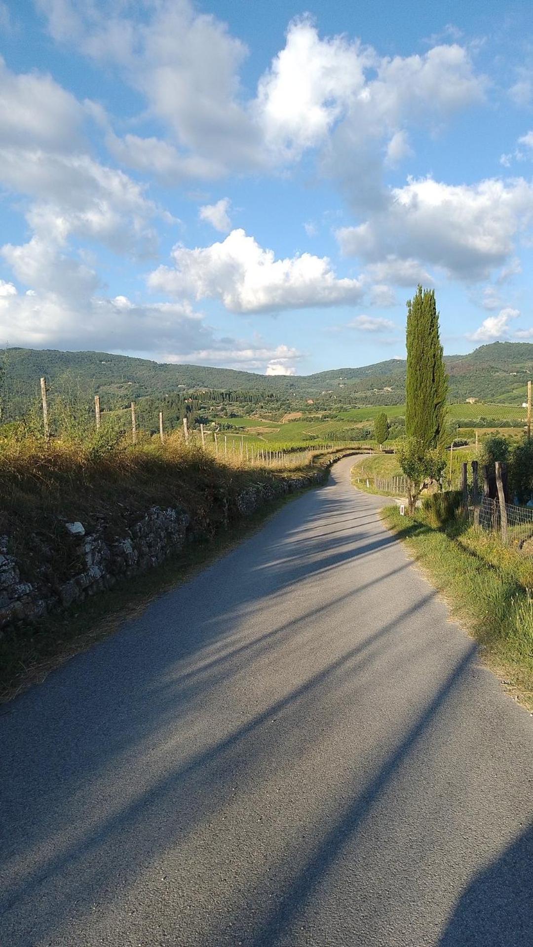 La Turra - Casa Di Campagna Greve in Chianti Dış mekan fotoğraf