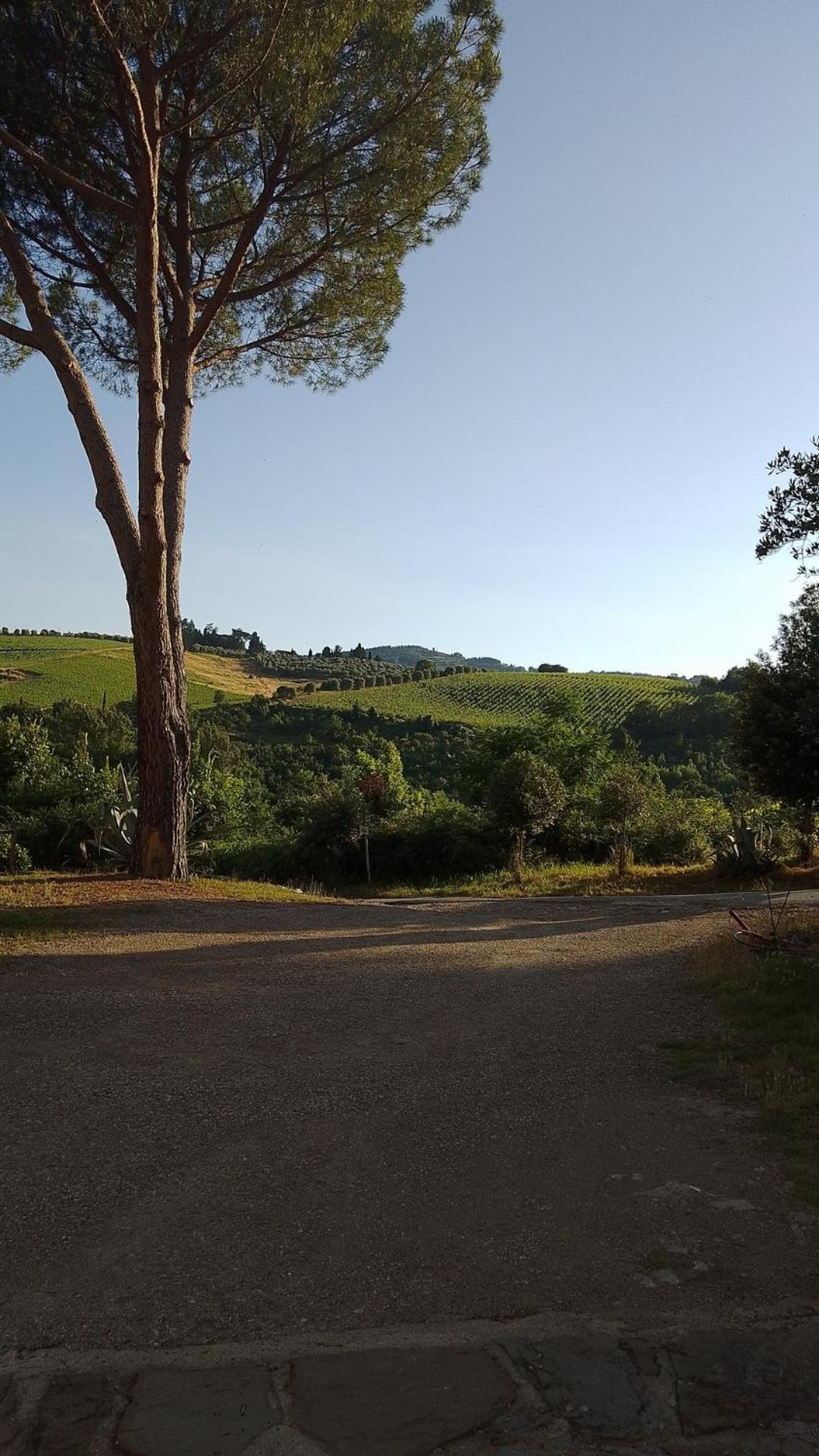 La Turra - Casa Di Campagna Greve in Chianti Dış mekan fotoğraf