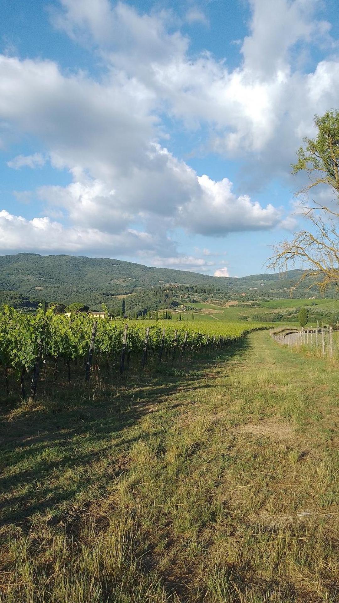 La Turra - Casa Di Campagna Greve in Chianti Dış mekan fotoğraf